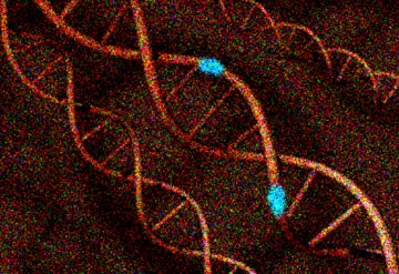 DNA helix shows blue spots as mutations.