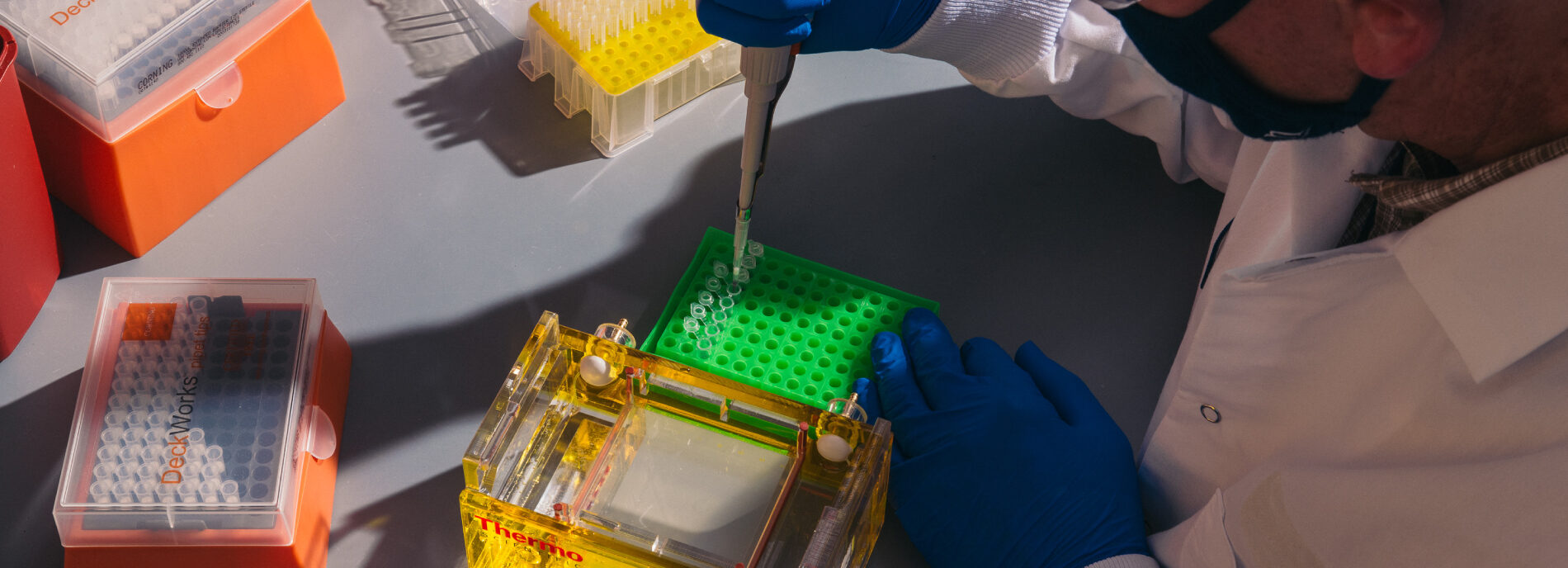 Ralf Schmid, the research director in Neurodevelopmental diseases at the Gene Therapy Program Orphan Disease Center, loads replicated mouse dna into wells in the gel before applying electric current to test the viability of the dna.